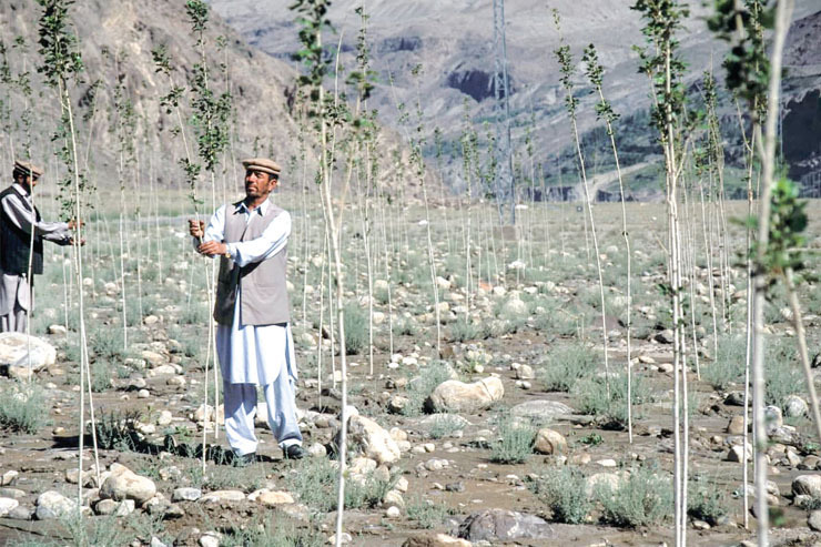 پاکستان برای بهبود اقتصاد کرونایی، به ابتکار زیست‌محیطی دست زده است