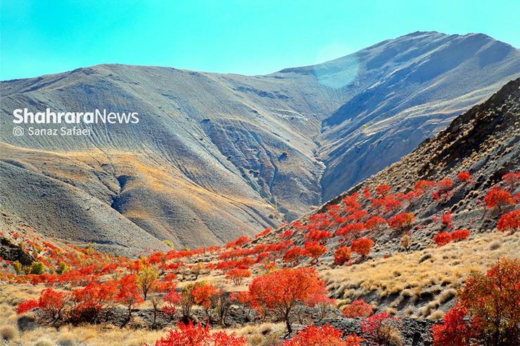روستای تاریخی خانیک با داشتن حدود ۵۰ درصد از سطح زیر کشت سماق کشور، نیازمند توجه ویژه در حوزه گردشگری است.