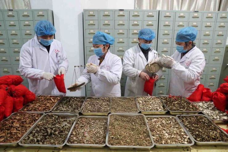 برخلاف تأکید اسناد بالادستی، متولیان درمان کشور به ظرفیت‌های طب سنتی بی‌اعتنا هستند.
