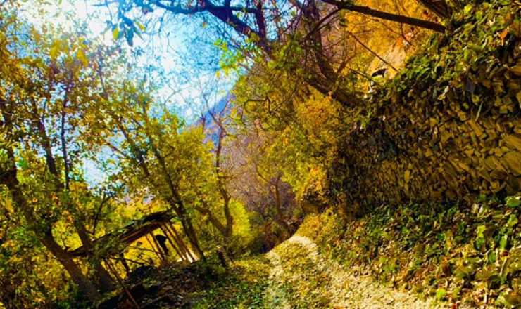 زیبایی‌های طبیعت روستای کنگ از نگاه دوربین مخاطب
