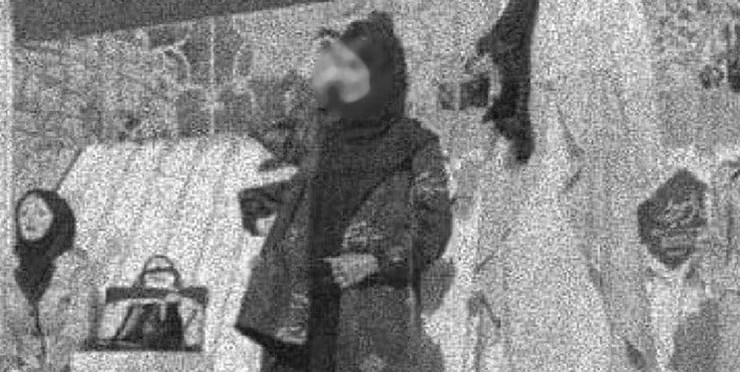 رئیس اداره نظارت بر اماکن عمومی پلیس خراسان رضوی از اقدام ضربتی در مواجهه با تخلف ویترین فروشگاه پوشاک در یکی از خیابان های شهر مشهد خبر داد.