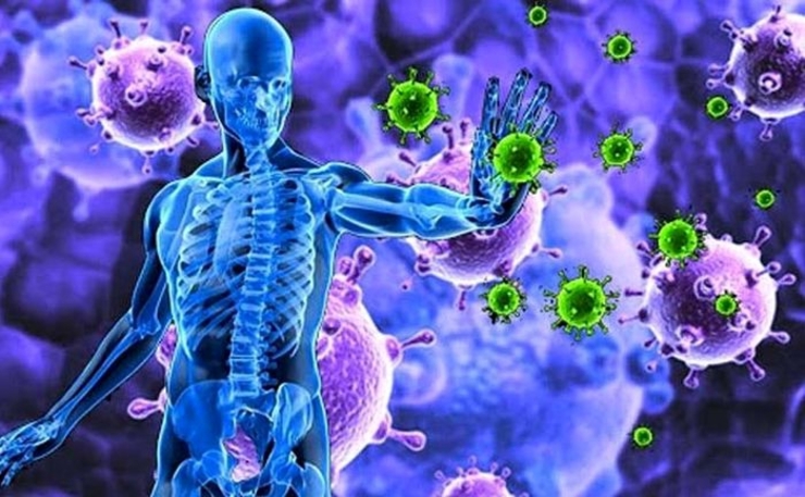 یک سیستم ایمنی قوی و کارآمد می‌تواند به پیشگیری از مشکلات تنفسی - یکی از علائم اصلی کووید-۱۹ - کمک کند.