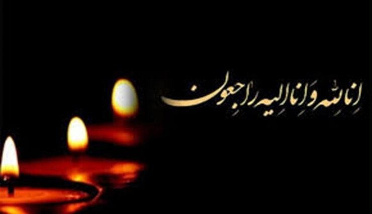 حسین عربی برادر همسر حجت الاسلام والمسلمین حسن روحانی رئیس جمهور، روز سه‌شنبه و بر اثر ایست قلبی در یکی از بیمارستان‌های شهر سمنان، دار فانی را وداع گفت.