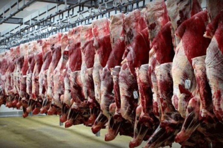 رئیس اتحادیه گوشت گوسفندی  از کاهش نرخ گوشت خبر داد و گفت: هر کیلو شقه گوسفندی بدون دنبه با نرخ ۱۱۰ تا ۱۱۵ هزار تومان در بازار عرضه می‌شود.