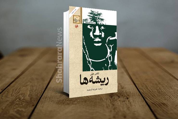 در میان رمان‌هایی که به ظلم سفیدپوستان بر سیاهان پرداخته، چند عنوانش در ایران شهرت زیادی دارند یا موردعلاقه و توجه رمان خوان‌های حرفه‌ای ایرانی قرار گرفته اند مانند «کلبه عموتام»، «محبوب» (دلبند) و «ریشه ها». کتاب اخیر را نویسنده سیاه پوست آمریکایی، الکساندر موری پالمر هیلی، معروف به الکس هیلی نوشته است.