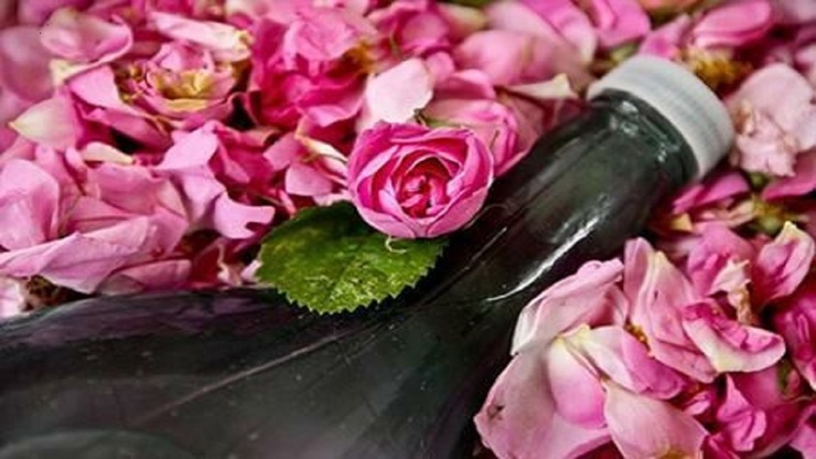 گلاب به عنوان یکی از عرقیات معطر و خوشبو خواص زیادی برای زیبایی پوست دارد.