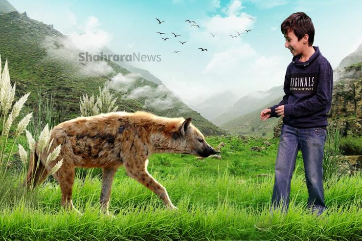 ابوالفضل جغتایی ساکن و متولد مشهد (۱۳۸۷) است. او یک فعال محیط زیست، و حوزه علاقه‌مندی اش حیات وحش است. اطلاعات زیادش چندی پیش پای او را به برنامه تلویزیونی «شگفت انگیزان» باز کرد.