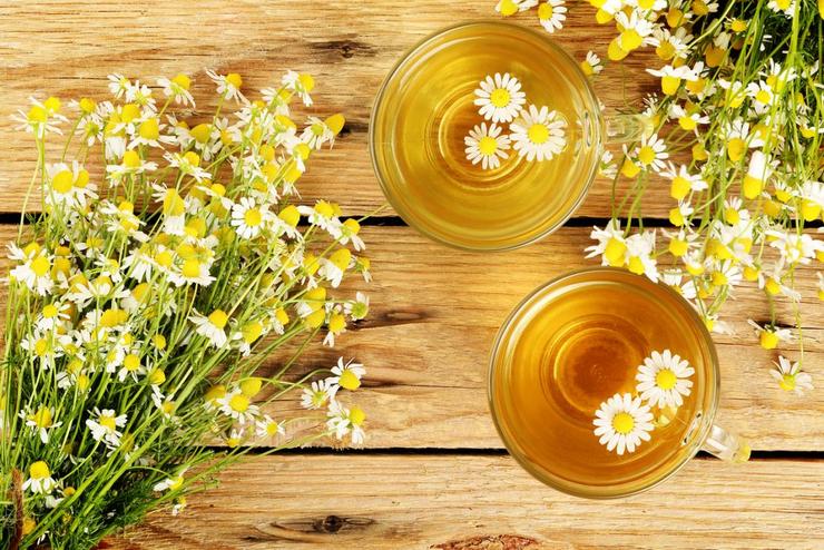مصرف گیاه بابونه در تقویت مغز و اعصاب، رفع سرماخوردگی و آبریزش بینی، کاهش خستگی، درمان تب‌های عفونی و...، موثر است.