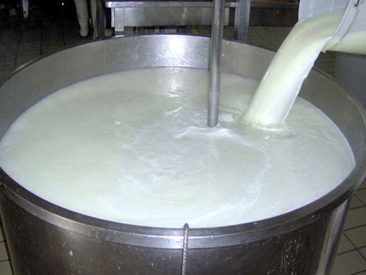 رئیس اتحادیه صنف گاوداران خراسان رضوی گفت: از تیرماه تا همین الان بهای تمام‌شده شیر خام ما حدود۷۵ درصد افزایش داشته است، ولی نرخ مصوب تعیین‌شده فقط ۵۰ درصد افزایش یافته است، یعنی با همین قیمت اعلام‌شده بازهم کسری داریم.