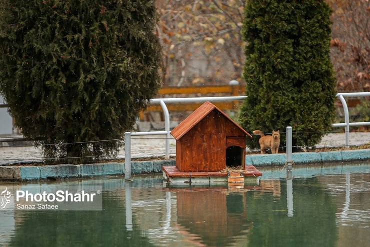 اگر سری به بوستان‌های مختلف مشهد بزنید، در بوستان وکیل‌آباد، ملت، پردیس، حجاب، طرق، غدیر و خیلی بوستان‌های دیگر شهر ۱۴۷۰ آشیانه، دان‌خوری و ۱۴۰ آب‌خوری نصب شده است؛ محصولاتی که با استفاده از ضایعات چوب ناشی از هرس درختان ساخته شده است.