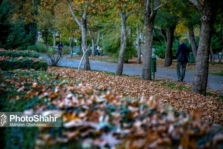 بازنشستگان تامین اجتماعی در استان‌های مختلف در تماس‌های مکرر می‌پرسند، نمایندگان بازنشستگان مشاغل سخت چه کسانی بوده‌اند که ما آنها را نمی‌شناسیم و چگونه به این فرمول‌های ناعادلانه رضایت داده‌اند؟!