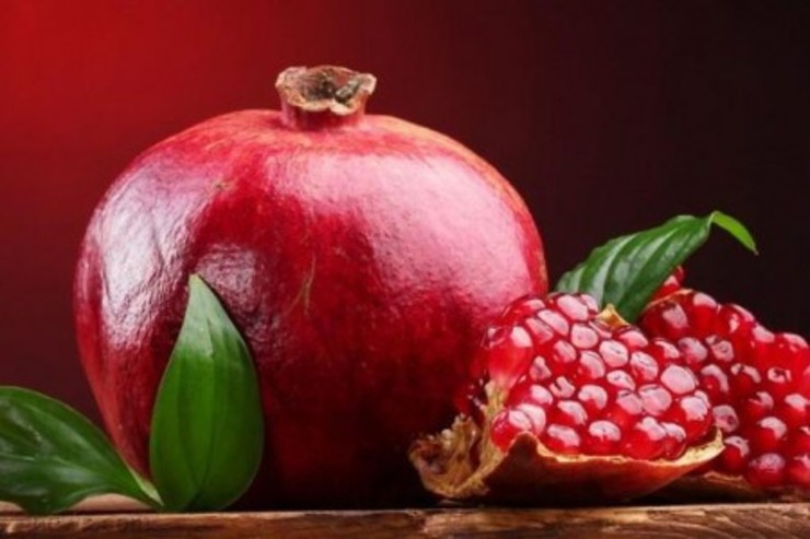 یلدای رنگارنگ شبکه نسیم | علی نصیریان مهمان «کتاب باز» می‌شود
