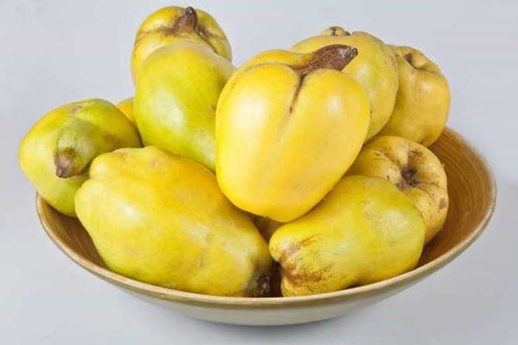 یک متخصص تغذیه در خصوص خواص میوه «به»، گفت: این میوه دارای مقادیر بسیار زیاد فیبر است که به بهبود عملکرد دستگاه گوارش کمک شایانی می کند.