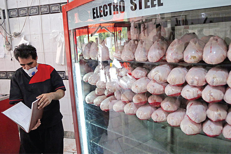 گزارش میدانی شهرآرا از همراهی با بازرسان تعزیرات و اصناف در گشت بازرسی بازار مرغ در چهارراه‌گاز و میدان استقلال مشهد