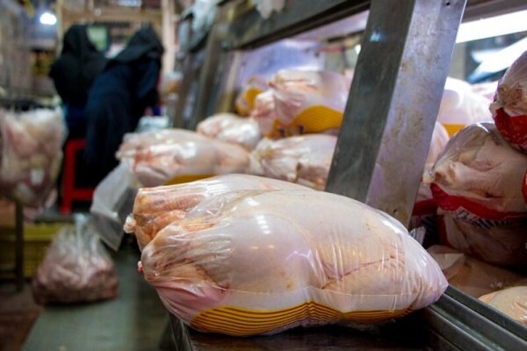 نابسامانی در بازار مرغ ادامه دارد. در برخی استانها همچنان صف برای خرید مرغ دولتی برقرار است و از طرفی قیمت این محصول پروتئینی نه تنها کاهشی نشده بلکه در بازه ۳۰ تا ۴۰ هزارتومان نوسان دارد.