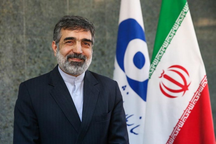 سخنگوی سازمان انرژی اتمی گفت: از بین ۱۳۳ مورد پیشرفت هسته ای که قرار است در سالروز دستیابی ایران به انرژی صلح آمیز هسته ای در روز ۲۰ فروردین رونمایی شود، ۴۰ مورد در حوزه غنی سازی است.