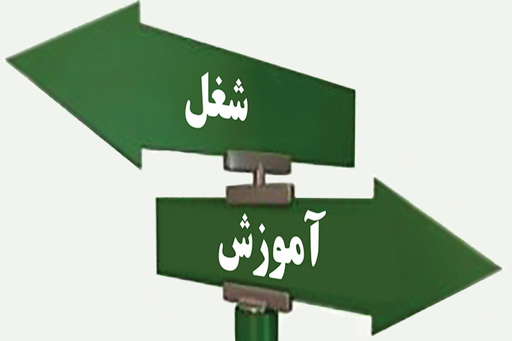 براساس پژوهش‌های انجام شده حرفه و کار ۷۰ تا ۸۵ درصد از افراد، با رشته تحصیلی شان ارتباط ندارد.