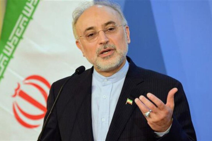 رییس سازمان انرژی اتمی گفت: زیرساخت‌های صنعت هسته ای با وسواس بسیار حفظ شد و چنانچه مقامات و تصمیم سازان ارشد نظام امری را به مسوولان صنعت هسته‌ای تفویض کنند در زمانی کوتاه، هنگامه ای عظیم برپا خواهد شد.