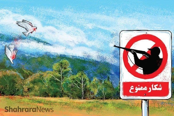 سخنان تازه فرمانده یگان حفاظت محیط‌زیست، دوباره شهادت اخیر ۲ محیط‌بان را در فیله خاصه زنجان در کانون توجه قرار داد.
