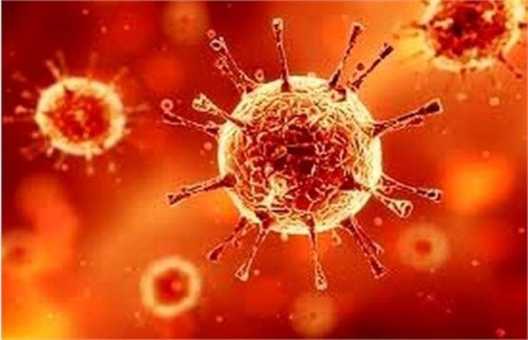 سخنگوی ستاد ملی مقابله با کرونا گفت: بر اساس آخرین تحلیل‌های وضعیت بیماران بستری و سرپایی کرونا و روند اپیدمیولوژیک بیماری کووید ۱۹ پیش بینی می‌شود که در چند روز آینده خیز جدید کرونا از شهر‌های متعددی از نوار غربی و مرکزی کشور را شاهد باشیم.