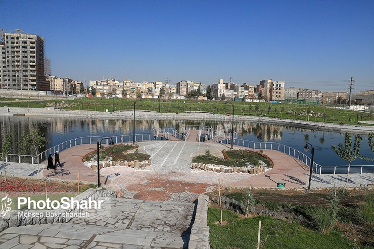 رئیس هیأت مدیره انجمن صنفی انبوه‌سازان خراسان رضوی گفت: ساختار‌های موجود در حوزه ساخت‌وساز مسکن بیمار است و تنها مشکل موجود در این حوزه‌ها فقط مرتبط به تحریم‌ها نیست بلکه مشکلات و موانع داخلی نیز نقش پررنگی دارد که از آن غافل شده‌ایم.