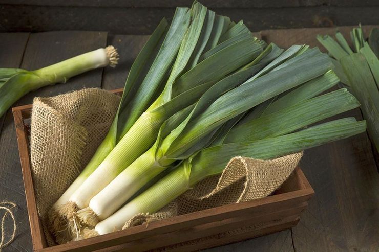 یکی از سبزیجات خوش‌طعم زمستانی تره‌فرنگی است. تره‌فرنگی خواص زیادی دارد که در این مطلب با برخی از آن‌ها آشنا می‌شوید.