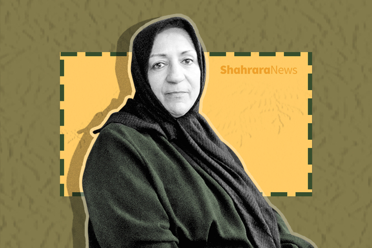نجمه مولوی در میان داستان نویسان مشهد و کشور نامی شناخته‌‎شده است که نه تنها در حوزه داستان بلکه در زمینه رشته تحصیلی اش علوم تربیتی، آثار تلفیقی داستانی و روان شناسی تألیف کرده و همچنین مدیریت آموزشگاه‌های صنایع دستی و صنایع نساجی را هم بر عهده داشته است.