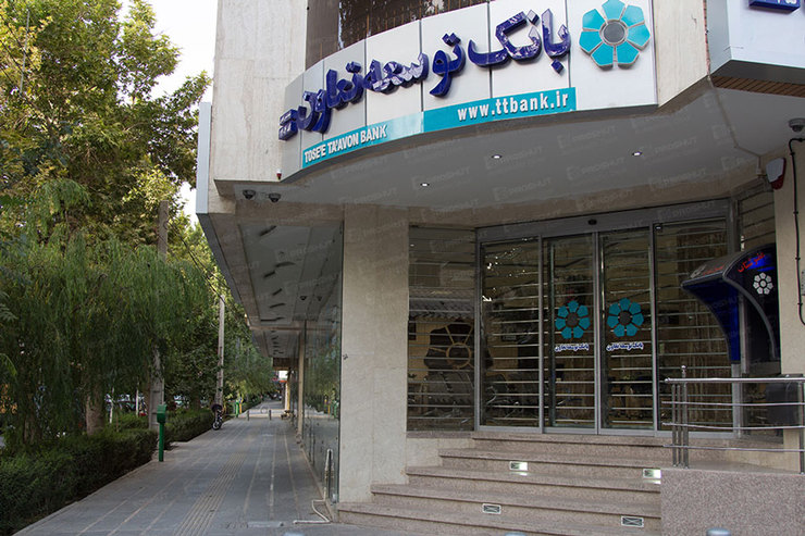 بانک توسعه تعاون به منظور همراهی با قشر فرهنگی جامعه و در صورت امکان، به وسیله طرح «همراه فرهیختگان» به این گروه تسهیلات ارائه می دهد.