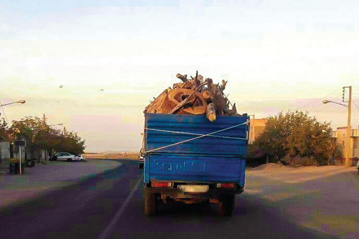 سودجویان در تنها روستای جهانی خراسان‌رضوی روزانه ۲ نیسان درخت به‌بهانه خشک‌سالی سر می‌برند.
