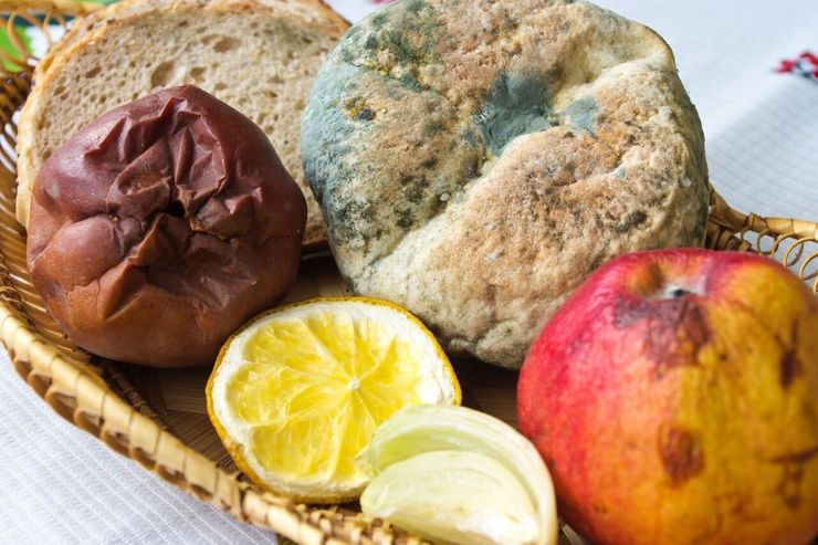 برای خیلی از ما پیش آمده، با وجود آن که غذا یا میوه‌ای را درون یخچال نگهداری می‌کنیم باز هم کپک می‌زند و مجبور به دور ریختن آن می‌شویم. البته در این میان برخی از افراد هم هستند که با جدا کردن بخش کپک زده اقدام به مصرف بقیه ماده غذایی می‌کنند.