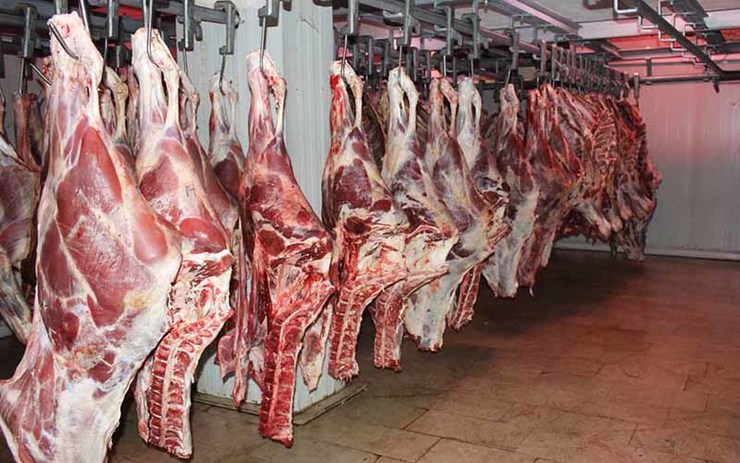  رییس اتحادیه فروشندگان گوشت گوسفندی خاطر نشان کرد: در یک هفته اخیر قیمت گوشت گوسفندی ۱۰ تا ۱۵ هزار تومان افزایش نرخ را تجربه کرد. دلیل این افزایش نرخ را باید در قرنطینه گوسفندان برای صادرات به کشور‌های حاشیه خلیج فارس جست‌وجو کرد.