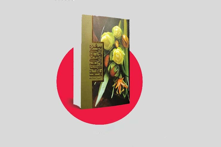 در کتاب «سفره آرایی، میوه آرایی و تزیینات پانیذ»، سمیرا جنت دوست شما را با دنیای جدیدی از هنر آشنا کرده و به شما کمک می‌کند با ساده‌ترین وسایل موجود در خانه و بدون نیاز به هیچ ابزار خاص، زیبایی ویژه‌ای به میهمانی‌های خود ببخشید.