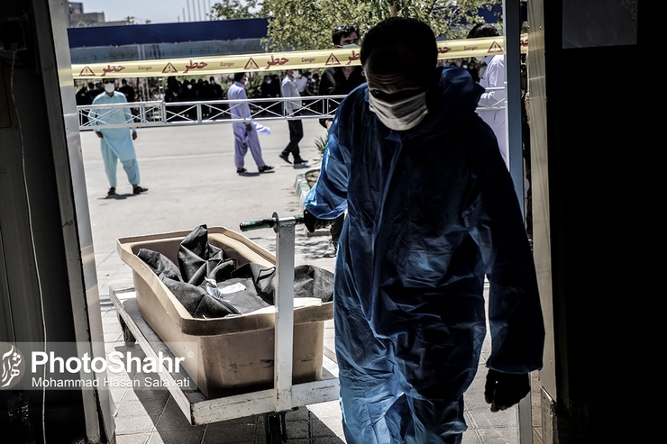 بنابر اعلام وزارت بهداشت، طی ۲۴ ساعت گذشته ۱۹۱ بیمار کووید - ۱۹ در کشور جان خود را از دست دادند.