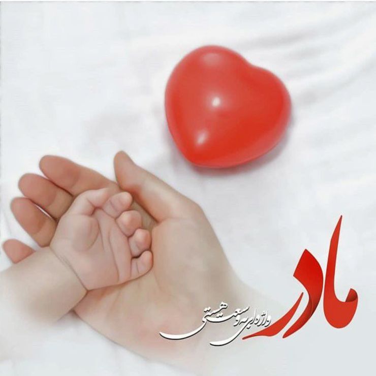 ایام میلاد حضرت زهرا(س) رسیده است و باهم کلیپی را در ارتباط با همین موضوع می‌بینیم.