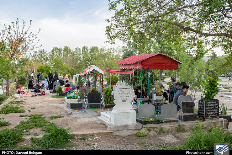 مدیرعامل سازمان فردوس‌های شهرداری مشهد برنامه‌‎های ویژه بهشت رضا (ع) برای پذیرایی شهروندان در مراسم چراغ برات را تشریح کرد.