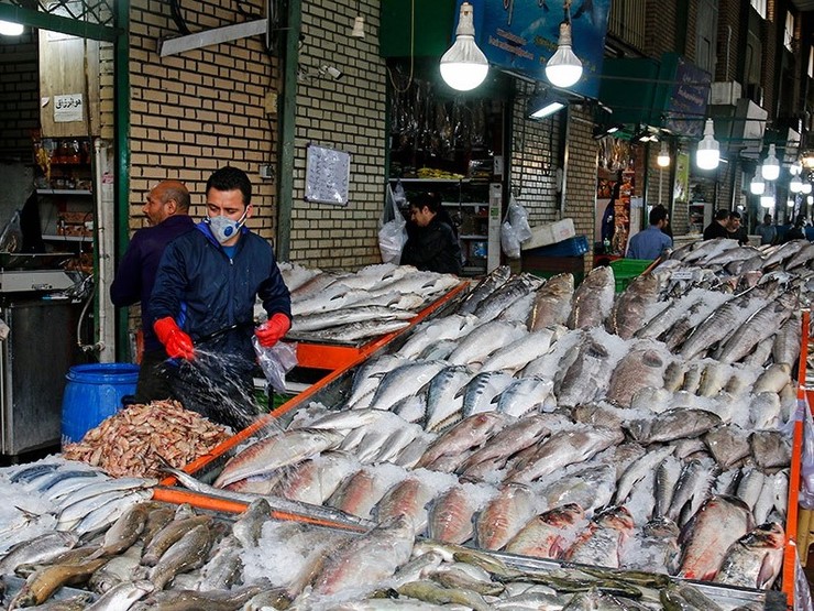 جنب‌وجوش در بازار ماهی شروع شده است، با این حال فروشندگان معتقدند که بازار از اواسط هفته آینده رونق بیشتری می‌گیرد. بیشترین تقاضا معطوف به ماهی قزل‌آلاست و بعد از آن کپور و ماهی آزاد جنوب، بیشترین فروش را دارند.