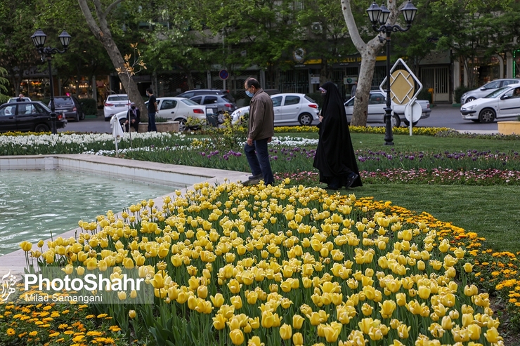 علی دهقان‌کیا: هنوز برای متناسب سازی مرحله دوم تصمیم قطعی اتخاذ نشده است، دولت باید تعهدات خود را در قبال سازمان تأمین اجتماعی انجام دهد تا متناسب‌سازی حقوق بازنشستگان به نحو مطلوب انجام شود.