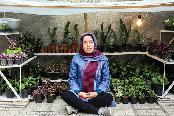 فاطمه باهوش، خانم ساکن محله وکیل‌آباد که دارای مدرک کارشناسی رشته علوم کشاورزی است، آستین همت را بالازده و با پشتکار و ابتکار، گلخانه‌ای کوچک راه‌اندازی کرده است. او امروز نامی آشنا برای اهالی محله است و محصولات خود را در روزبازار‌های مشاغل خانگی، گل‌فروشی‌هایی که در محله فعال هستند و در فضای مجازی می‌فروشند.