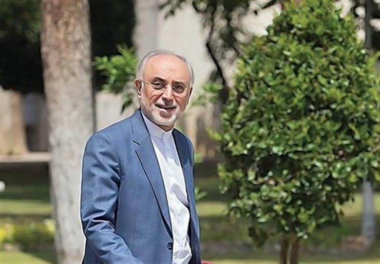 علی اکبر صالحی رئیس سازمان انرژی اتمی گفت که در حال حاضر تصمیم قطعی و نهایی برای کاندیداتوری نگرفته ولی در حال بررسی این موضوع است.
