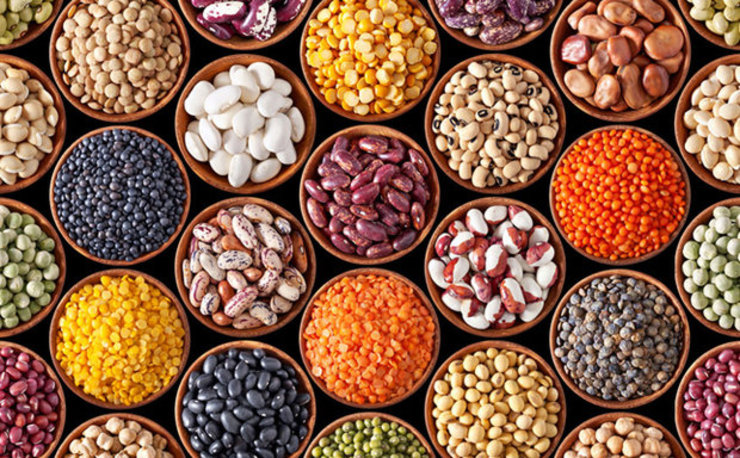 دبیر اتحادیه بنکداران مواد غذایی از کاهش ۱۰ تا ۱۵ درصدی قیمت حبوبات در سطح بنکداری‌ها خبر داد.