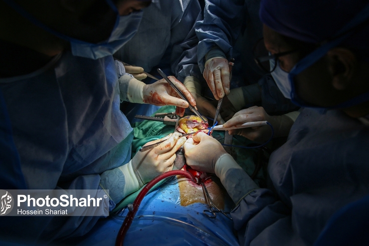 از سال ۱۳۸۰ که اهدای عضو از مرگ مغزی در دانشگاه علوم‌پزشکی مشهد و در بیمارستان منتصریه آغاز شد، تا کنون که حدود ۲۰ سال از آن می‌گذرد، ۱۰۴۶ مرگ مغزی موفق به اهدای اعضای بدن خود به نیازمندان عضو شده‌اند.