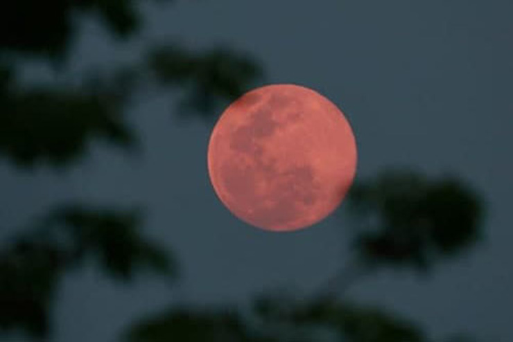روزهای دوشنبه و سه شنبه ۶ و ۷ اردیبهشت ماه، باتوجه به موقعیت مکانی، پدیده «ماه صورتی» (Pink Moon) در آسمان برخی کشورها نمایان می شود و ساکنان این مناطق می توانند شاهد یکی از درخشان‌ترین و متفاوت‌ترین تصاویر ماه در آسمان باشند.