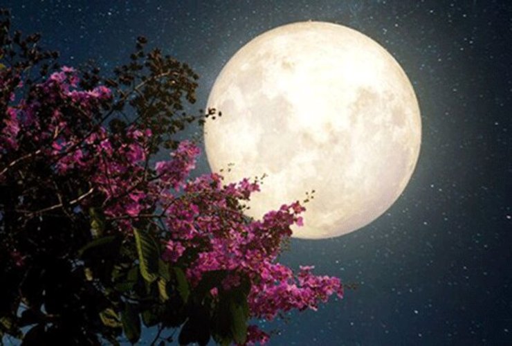 شب گذشته (۶ اردیبهشت ۱۴۰۰) آسمان میزبان ماه صورتی بود. این ابرماه در شهرهای مختلف ایران دیده شد و عکس‌ها و فیلم‌های زیبایی از آن ثبت شد، در این گزارش این فیلم‌ها و عکس‌ها برای شما جمع آوری شده است.