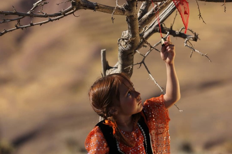 فیلم کوتاه «هاوار» به‌کارگردانی موسی حاجی‌نژاد، ‌فیلم‌ساز مشهدی، در فهرست فینالیست‌های جشنواره فیلم‌برداران آسیایی قرار گرفت و به‌زودی در شهر لیمای فیلیپین اکران خواهد شد.