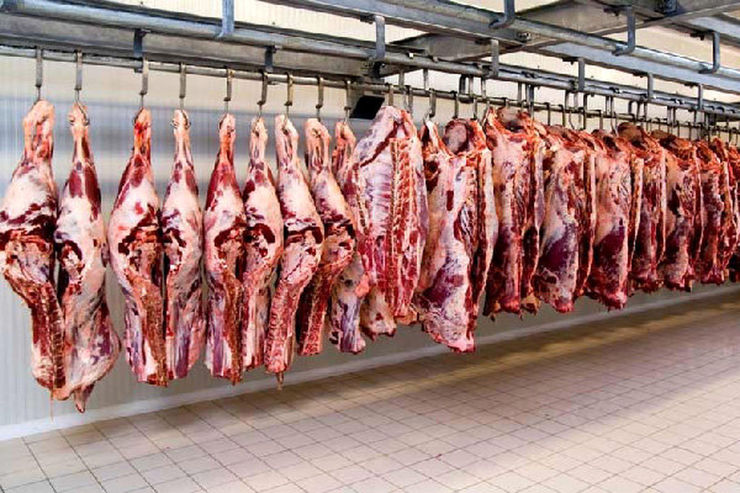 رئیس اتحادیه گوشت گوسفندی از کاهش ١٠ هزار تومانی قیمت این نوع گوشت نسبت به فروردین ماه خبر داد و گفت: کشتار دام‌های مولد نگران کننده است.