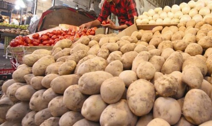 عرضه و تقاضا تعیین‌کننده قیمت میوه و صیفی‌جات در بازار مشهد است.