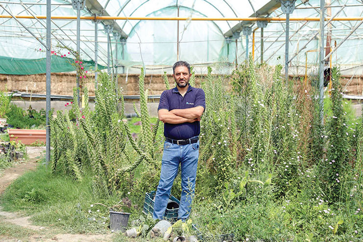 گلخانه دار گیاهان دارویی ساکن الهیه، مهم‌ترین اصل حرفه خود را رسیدگی دائم به محصولات می‌داند.