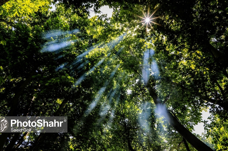 بنا بر اطلاعیه شرکت برق مشهد از اول خرداد ماه ۱۴۰۰، در برخی از مناطق مشهد انجام خواهد شد. زمان خاموشی‌ها ۷۵ الی ۹۰ دقیقه است و بر اساس جدول اعمال می‌شود.