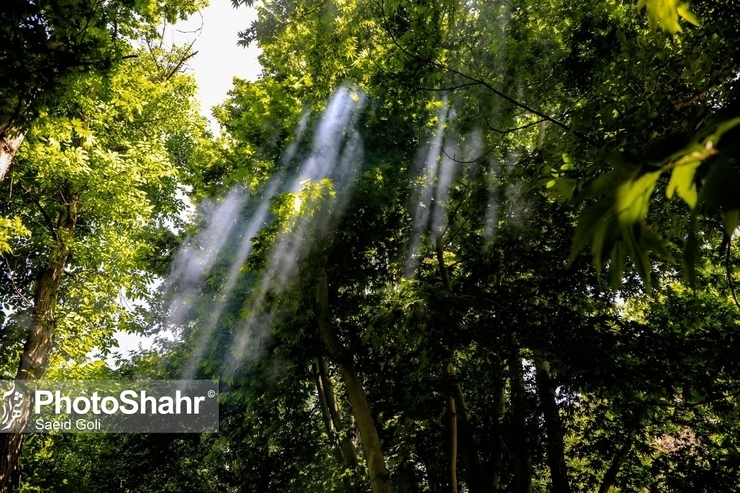 کارشناس اداره کل هواشناسی خراسان رضوی گفت: ناپایداری جوی در استان تا شنبه ادامه خواهد داشت و پس از آن به تدریج از مقدار این ناپایداری‌ها کاسته می‌شود.