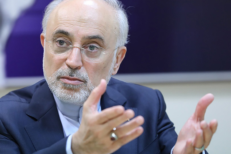 رئیس سازمان انرژی اتمی مسائل مالی را عمده ترین دلیل عدم دستیابی به اهداف تولید ۲۰ هزار و ۸ هزار مگاوات برق هسته ای در کشور دانست.